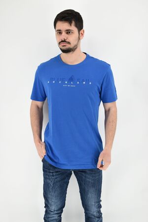 Blue Sail 02B560 Men's T-Shirt Regular Straight Line Blue Rouge